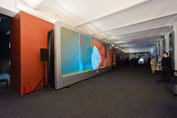 Презентация. Инновационный центр «Сколково». Фото 6